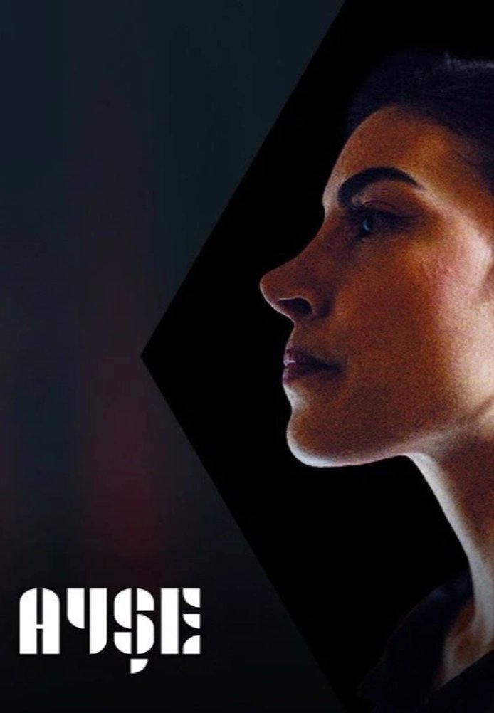 Постер турецкого сериала Душевное приключение